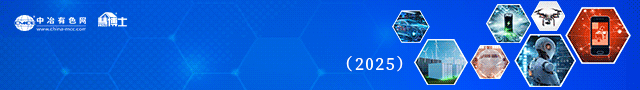 固態(tài)電池產(chǎn)業(yè)報(bào)告2025